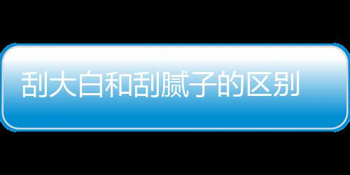 白和呢平米子的区别钱一刮大刮腻 刮大白多少