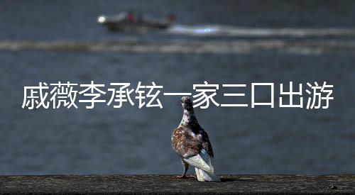 李承铉一戚薇巧游被一路口出很乖家三偶遇上都